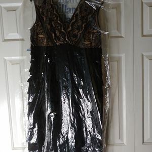 Dillards Lovely Black & Tan Wedding Guest Dress